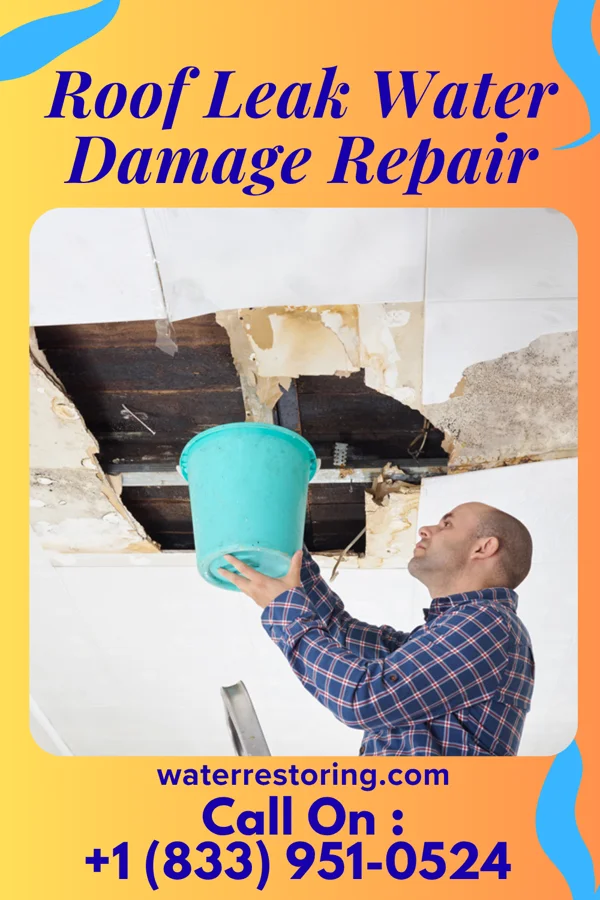 Roof Leak Water Damage Repair in Martin, ND